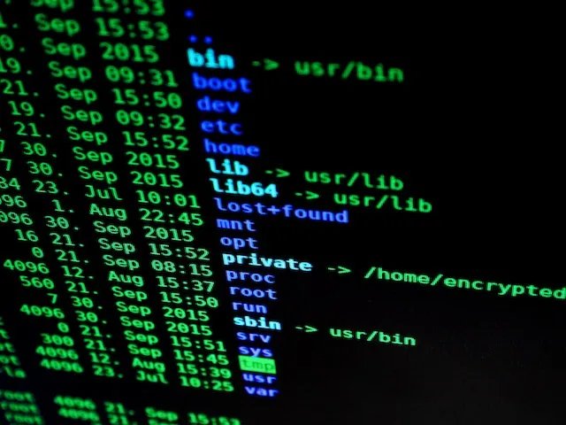 What's DNS | The Role of DNS in the Internet